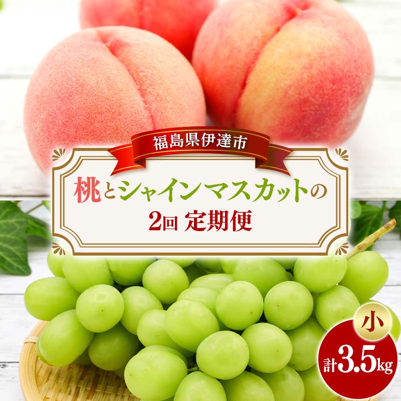 ＜2026年夏から開始の定期便＞桃とシャインマスカットの定期便 (小) 福島の桃 果物 先行予約 フルーツ 桃 モモ もも 葡萄 ブドウ ぶどう 福島県 伊達市 もも モモ momo  F20C-785 小 ：40,000円