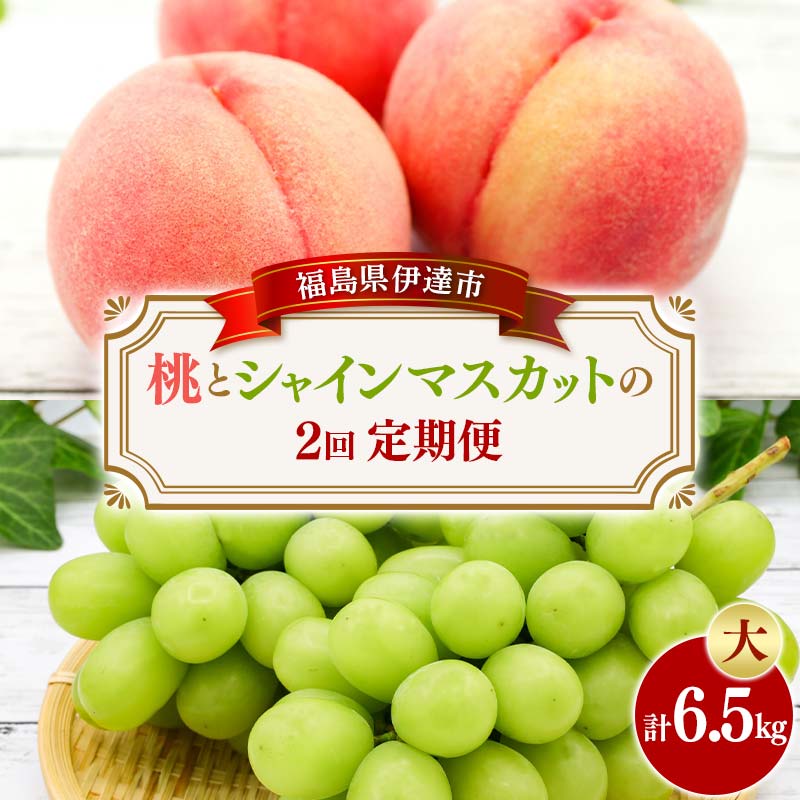 ＜2026年夏から開始の定期便＞桃とシャインマスカットの定期便 (大) 福島の桃 果物 先行予約 フルーツ 桃 モモ もも 葡萄 ブドウ ぶどう 福島県 伊達市 もも モモ momo  F20C-787 大：50,000円