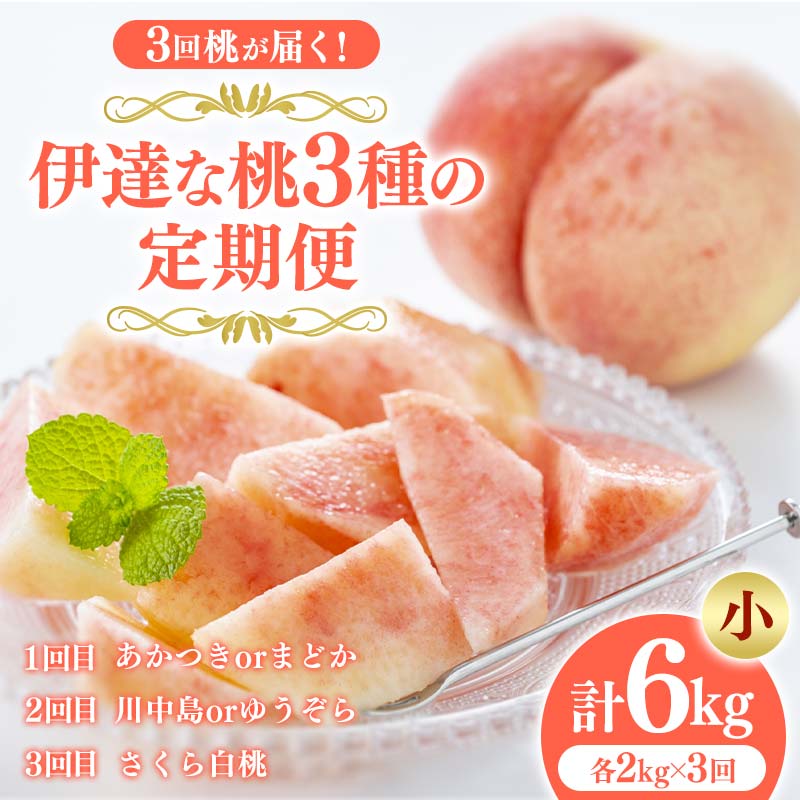 ＜2026年夏から開始の定期便＞福島の桃 3回桃が届く！伊達な桃3種の定期便 (小) 果物 先行予約 フルーツ 桃 モモ もも 福島県 伊達市 先行予約 フルーツ 果物 もも モモ momo  F20C-788 小 : 44,000円