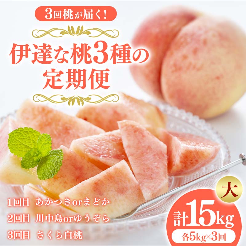 ＜2026年夏から開始の定期便＞福島の桃 3回桃が届く！伊達な桃3種の定期便 (大) 果物 先行予約 フルーツ 桃 モモ もも 福島県 伊達市 先行予約 フルーツ 果物 もも モモ momo  F20C-790 大 : 72,000円