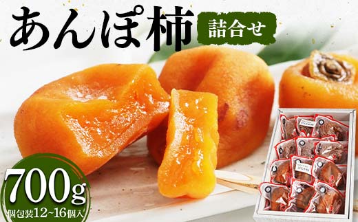 厳選 個包装 あんぽ柿(詰合せ)700g  柿 かき デザート フルーツ 果物 くだもの 果実 食品 F20C-828
