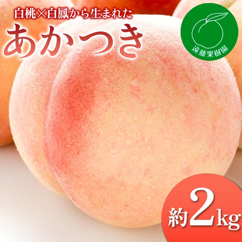 【2026年出荷分先行予約】福島県産 あかつき 約2kg (5～9玉) 遠藤果樹園 伊達の桃 桃 フルーツ 果物 もも モモ momo F20C-829
