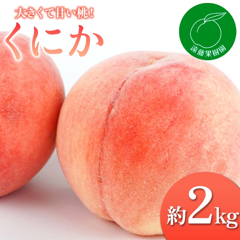【2026年出荷分先行予約】福島県産 くにか 約2kg (5～9玉) 遠藤果樹園 贈り物 贈答 ギフト 伊達の桃 桃 フルーツ 果物 もも モモ momo F20C-830