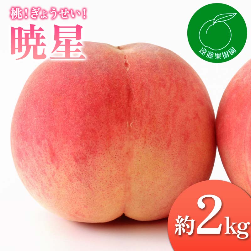 【2026年出荷分先行予約】福島県産 暁星 約2kg (5～9玉) 遠藤果樹園 ぎょうせい 伊達の桃 桃 小玉 フルーツ 果物 もも モモ momo F20C-832