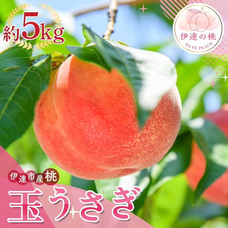 【2026年出荷分先行予約】福島県産 玉うさぎ 約5kg (10～18玉) サトー農園 新品種 たまうさぎ 固め 伊達の桃 桃 フルーツ 果物 もも モモ momo F20C-834 約5kg