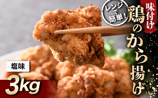 さっぱり定番 鶏唐揚げ 塩味 3kg  チキン バーベキュー BBQ キャンプ飯 チキン 唐揚げ からあげ 鶏肉 チキン 肉 食品 F20C-864