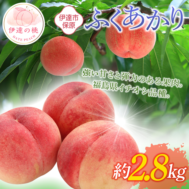 【2026年出荷分先行予約】福島県産 ふくあかり 約2.8kg (10～15玉) あかい果樹園 伊達の桃 桃 フルーツ 果物 もも モモ momo F20C-900 約2.8kg