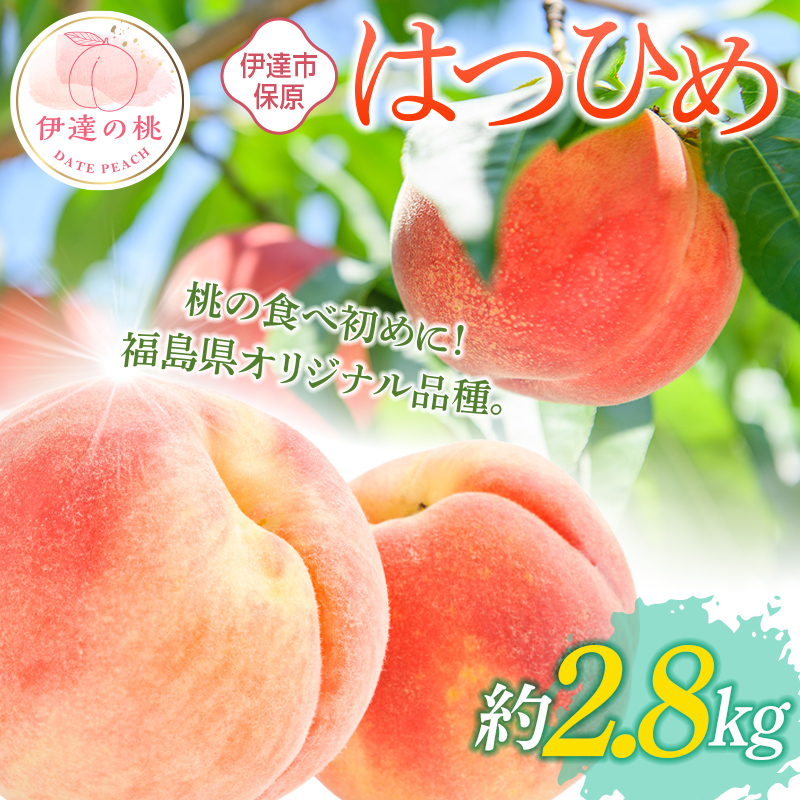 【2026年出荷分先行予約】福島県産 はつひめ 約2.8kg (10～15玉) あかい果樹園 伊達の桃 桃 フルーツ 果物 もも モモ momo F20C-902 約2.8kg