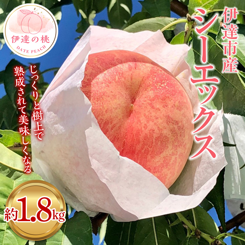 【2026年出荷分先行予約】福島県産 シーエックス 約1.8kg (4～6玉) あかい果樹園 大玉 固め 伊達の桃 桃 フルーツ 果物 もも モモ momo F20C-907 約1.8kg