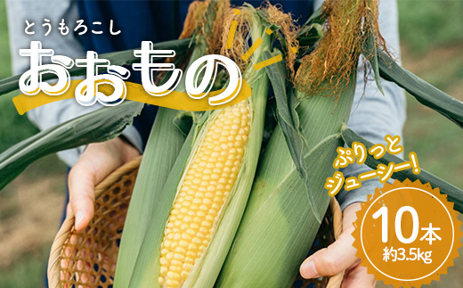 極上の甘さ！ とうもろこし 「おおもの」 10本（約3.5kg） F20C-933