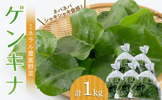 ツルムラサキの仲間のネバネバ野菜！ミネラル豊富なゲンキナ（R）（オカワカメ） 1kg F20C-948