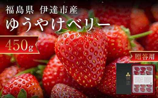 ＜2026年発送＞【贈答用】極上いちご！福島オリジナル品種 ゆうやけベリー 450gイチゴ 苺 フルーツ 果物 伊達市 F20C-958