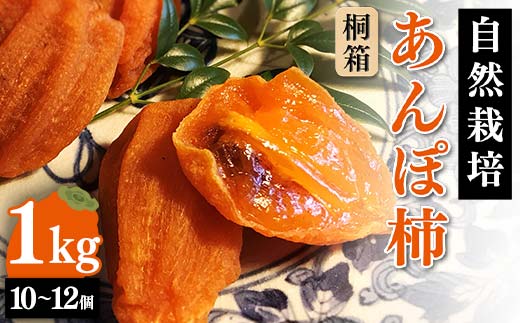 【贈答用】自然栽培あんぽ柿 桐箱 1kg（10～12 個入り）  柿 かき デザート フルーツ 果物 くだもの 果実 食品 F20C-967