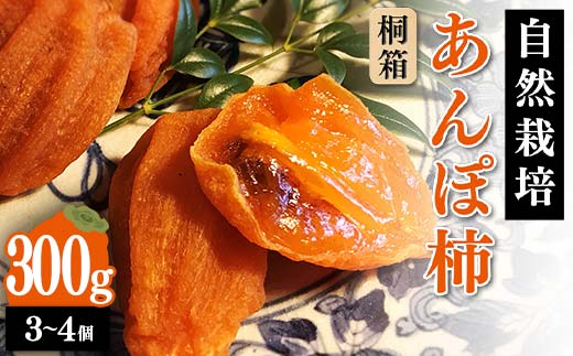 【贈答用】自然栽培あんぽ柿 桐箱 300g（3～4 個入り）  柿 かき デザート フルーツ 果物 くだもの 果実 食品 F20C-968