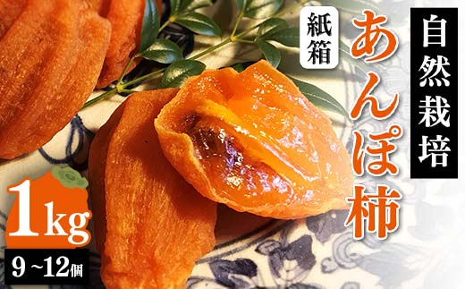 【贈答用】自然栽培あんぽ柿 紙箱 1kg（9~12個入り）  柿 かき デザート フルーツ 果物 くだもの 果実 食品 F20C-969