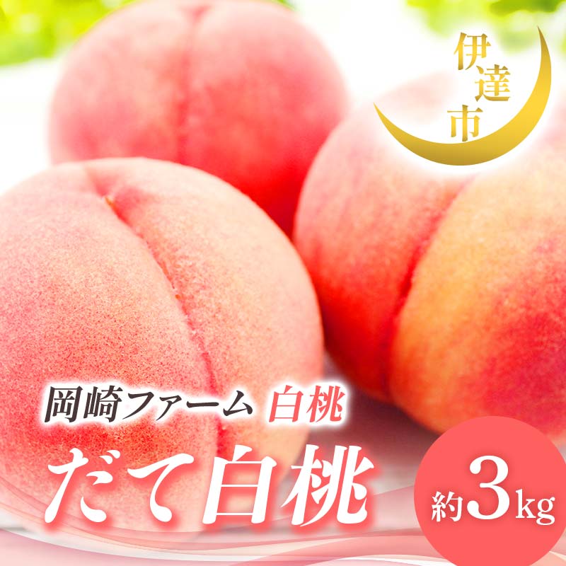【2026年出荷分先行予約】福島県産 だて白桃 約3kg (6～10玉) 岡崎ファーム 伊達の桃 桃 フルーツ 果物 もも モモ momo F21C-007
