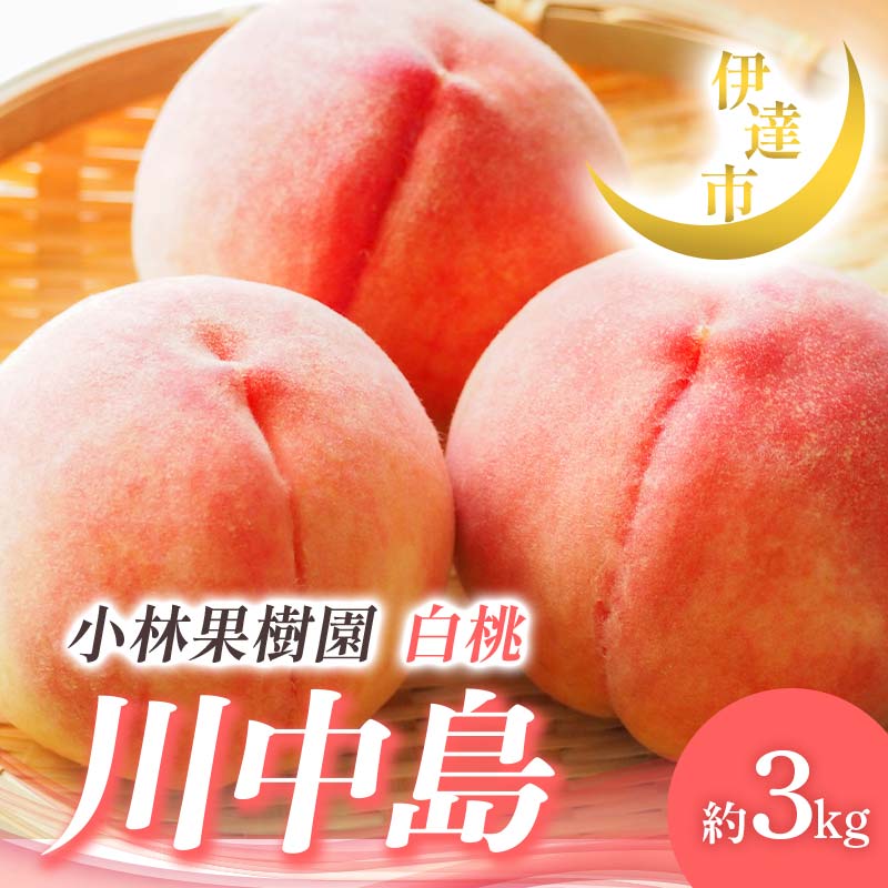 【2026年出荷分先行予約】福島県産 川中島白桃 約3kg (8～12玉) 小林果樹園 伊達の桃 桃 フルーツ 果物 もも モモ momo F21C-008  約3kg