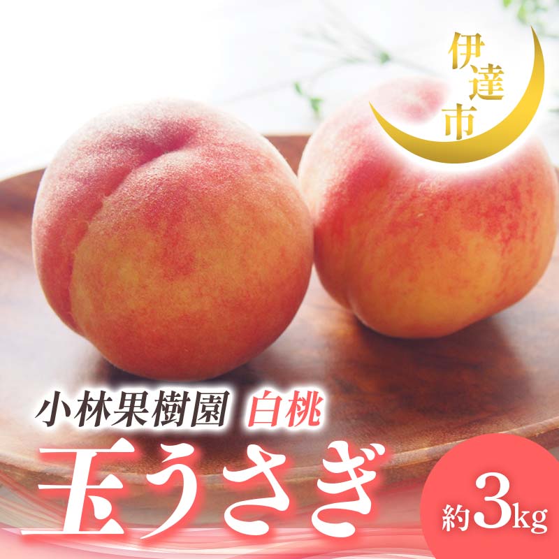 【2026年出荷分先行予約】福島県産 玉うさぎ 約3kg (8～12玉) 小林果樹園 伊達の桃 桃 フルーツ 果物 もも モモ momo F21C-010 約3kg