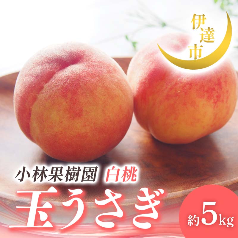 【2026年出荷分先行予約】福島県産 玉うさぎ 約5kg (14～20玉) 小林果樹園 伊達の桃 桃 フルーツ 果物 もも モモ momo F21C-011 約5kg