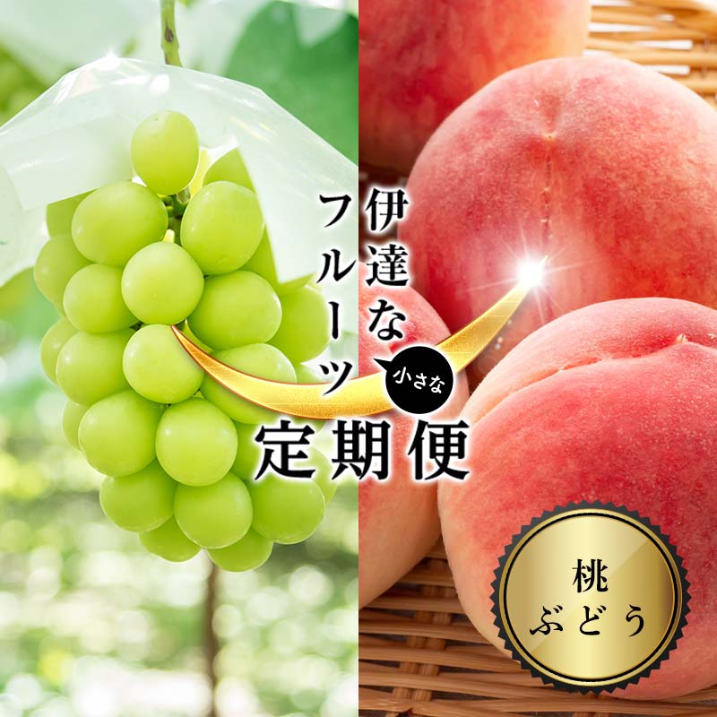 ＜2026年夏から開始の定期便＞伊達な小さなフル－ツ定期便 (桃約1kg・ぶどう1房) 果物 フルーツ 桃 モモ 葡萄 ブドウ 福島県 伊達市 F21C-016