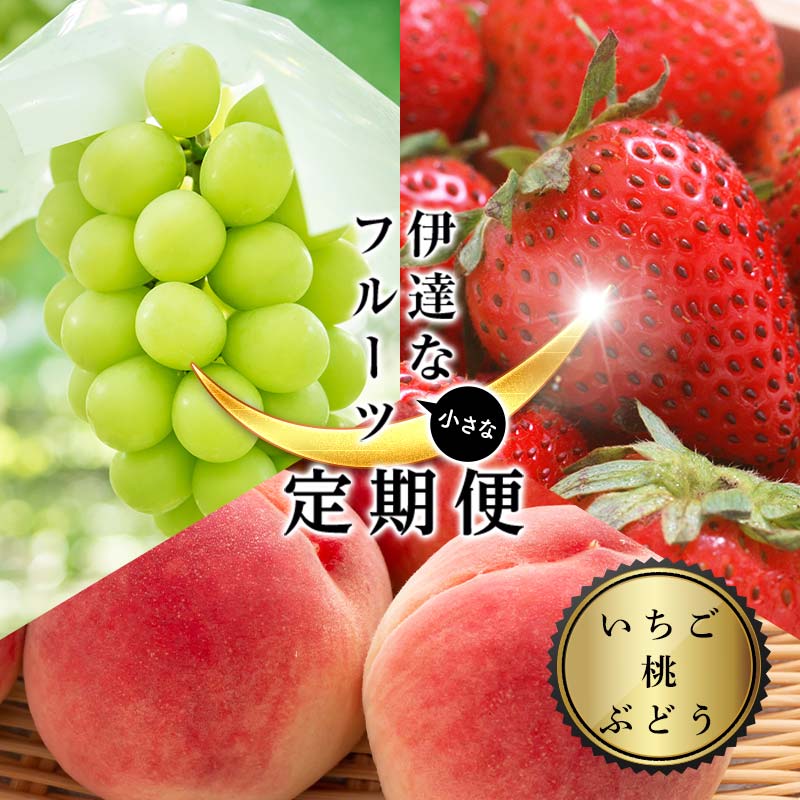＜2026年から開始の定期便＞伊達な小さなフル－ツ定期便（いちご約500g・桃約2kg・ぶどう2~3房）果物 フルーツ 桃 モモ 苺 イチゴ 葡萄 ブドウ 福島県 伊達市 F21C-020