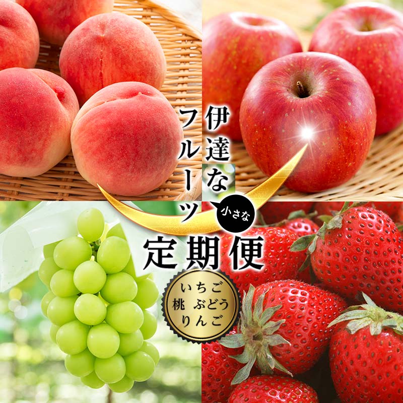 ＜2026年夏から開始の定期便＞伊達な小さなフル－ツ定期便 (桃約1kg・ぶどう1房・りんご約1kg・いちご約500g) 果物 フルーツ 桃 モモ 苺 イチゴ 葡萄 ブドウ 林檎 リンゴ 福島県 伊達市 F21C-225
