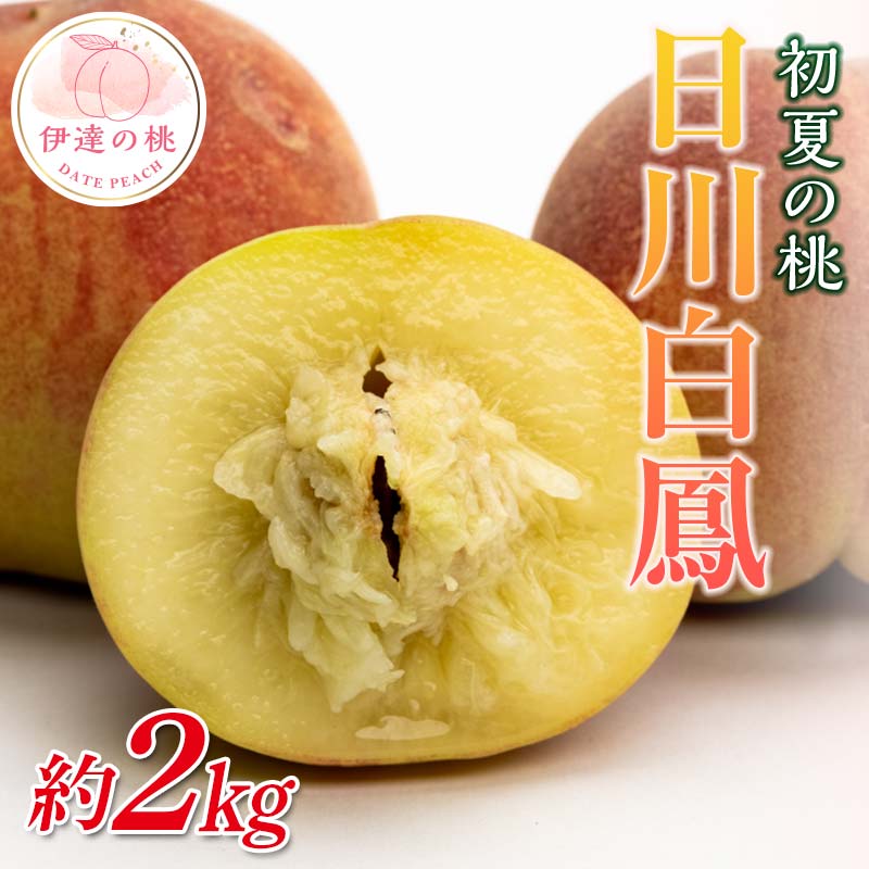【2026年出荷分先行予約】福島県産 日川白鳳 約2kg (7～10玉) 斎藤果樹園 小玉 伊達の桃 桃 フルーツ 果物 もも モモ momo F21C-023