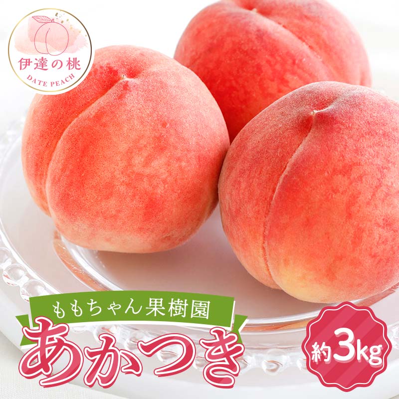 【2026年出荷分先行予約】福島県産 あかつき 約3kg (7～12玉) ももちゃん果樹園 自慢の桃 伊達の桃 桃 フルーツ 果物 もも モモ momo F21C-042 約3kg