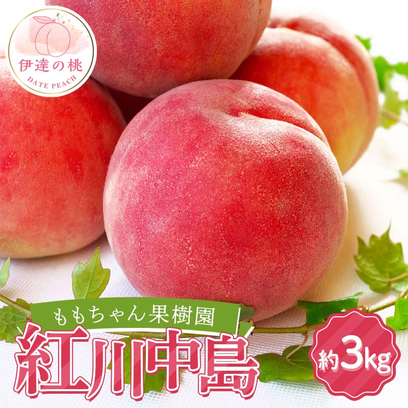 【2026年出荷分先行予約】福島県産 紅川中島 約3kg (7～9玉) ももちゃん果樹園 自慢の桃 伊達の桃 桃 フルーツ 果物 もも モモ momo F21C-044 約3kg