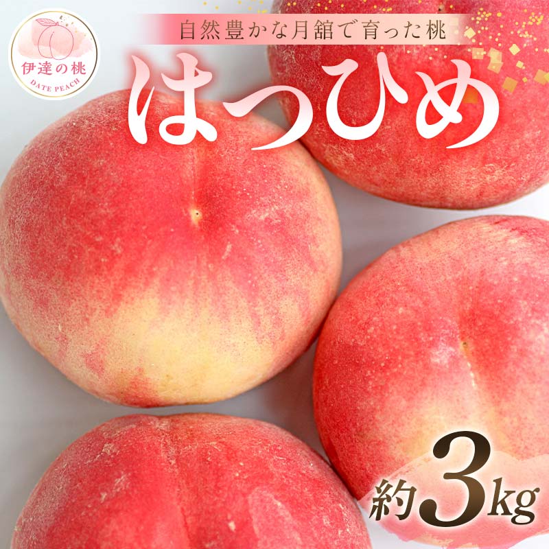 【2026年出荷分先行予約】福島県産 はつひめ 約3kg (9～12玉) 森果樹園 自然豊かな月舘で育った桃 伊達の桃 桃 フルーツ 果物 もも モモ momo F21C-049 約3kg