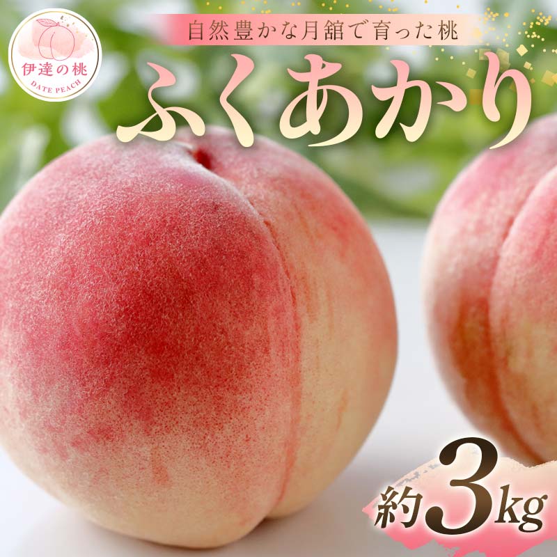 【2026年出荷分先行予約】福島県産 ふくあかり 約3kg (9～12玉) 森果樹園 自然豊かな月舘で育った桃 伊達の桃 桃 フルーツ 果物 もも モモ momo F21C-051 約3kg