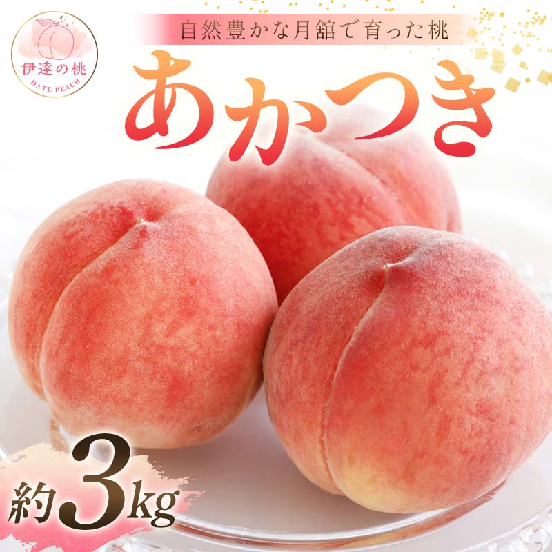 【2026年出荷分先行予約】福島県産 あかつき 約3kg (9～12玉) 森果樹園 自然豊かな月舘で育った桃 伊達の桃 桃 フルーツ 果物 もも モモ momo F21C-053