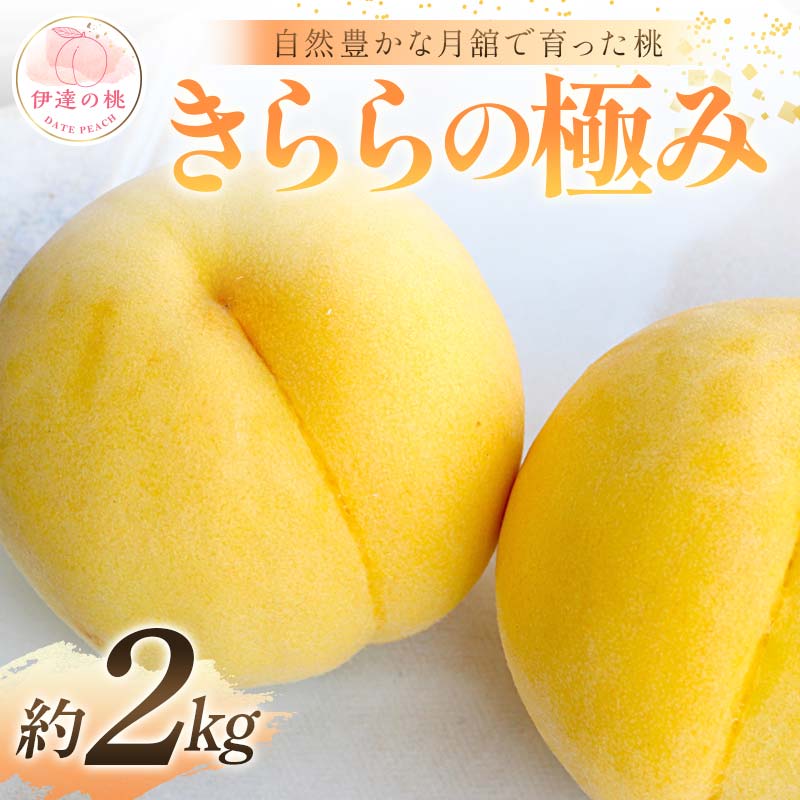 【2026年出荷分先行予約】福島県産 きららの極み 約2kg (6～8玉) 森果樹園 自然豊かな月舘で育った桃 伊達の桃 桃 フルーツ 果物 もも モモ momo F21C-058 約2kg
