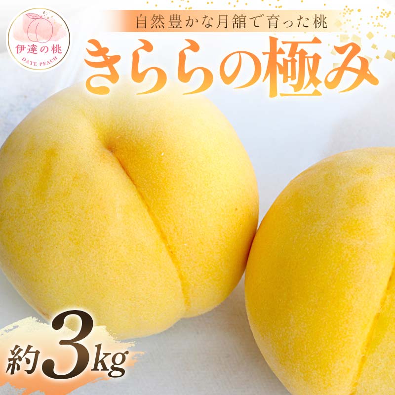 【2026年出荷分先行予約】福島県産 きららの極み 約3kg (8～12玉) 森果樹園 自然豊かな月舘で育った桃 伊達の桃 桃 フルーツ 果物 もも モモ momo F21C-059 約3kg