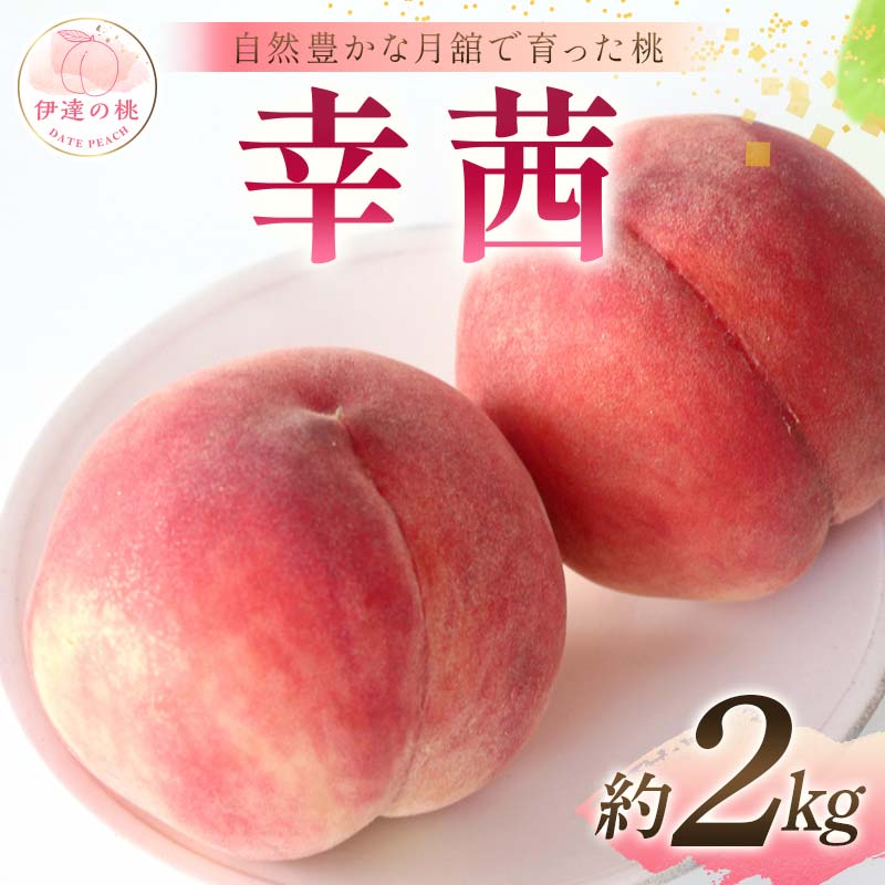 【2026年出荷分先行予約】福島県産 幸茜 約2kg (6～8玉) 森果樹園 さちあかね 自然豊かな月舘で育った桃 伊達の桃 桃 フルーツ 果物 もも モモ momo F21C-060 約2kg