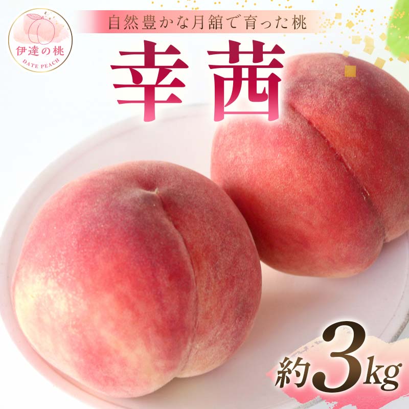 【2026年出荷分先行予約】福島県産 幸茜 約3kg (8～12玉) 森果樹園 さちあかね 自然豊かな月舘で育った桃 伊達の桃 桃 フルーツ 果物 もも モモ momo F21C-061 約3kg