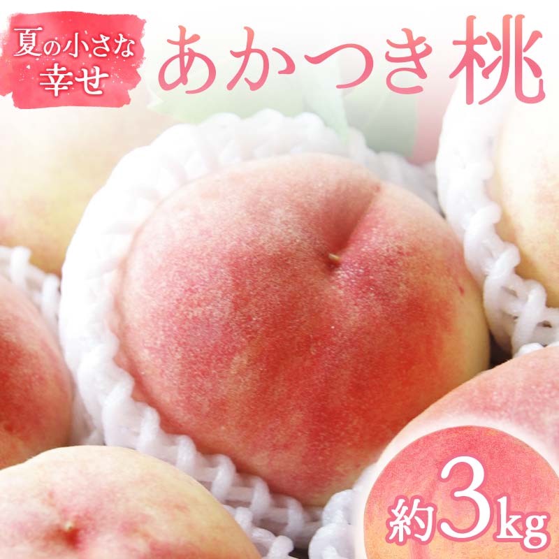 【2026年出荷分先行予約】福島県産 あかつき 約3kg (9～12玉) 福島の桃農家ペシェエラ 夏の小さな幸せ 伊達の桃 桃 フルーツ 果物 もも モモ momo F21C-067