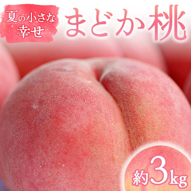 【2026年出荷分先行予約】福島県産 まどか 約3kg (9～12玉) 福島の桃農家ペシェエラ 夏の小さな幸せ 伊達の桃 桃 フルーツ 果物 もも モモ momo  F21C-069