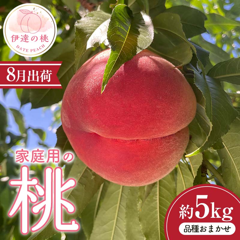 【2026年出荷分先行予約】福島県産 家庭用の桃 約5kg (14～24玉) 品種おまかせ (8月出荷分) 農業生産法人種まきうさぎ株式会社 伊達市の桃 桃 フルーツ 果物 もも モモ momo F21C-084 約5kg 8月出荷分