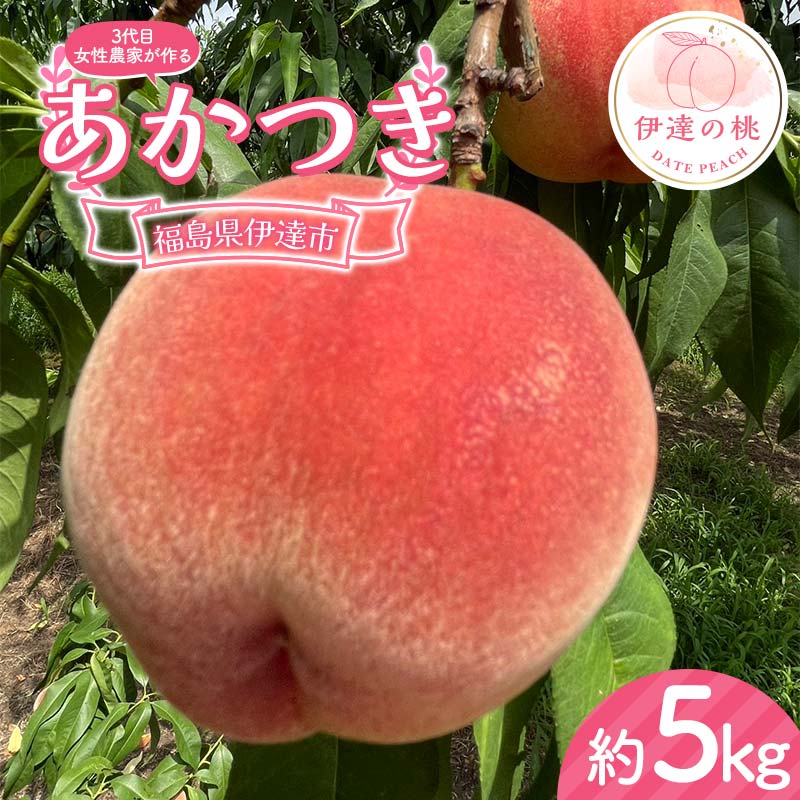 【2026年出荷分先行予約】福島県産 あかつき 約5kg (18～22玉) 小野農園 3代目の女性の農家が作る桃 伊達の桃 桃 フルーツ 果物 もも モモ momo F21C-129 約5kg