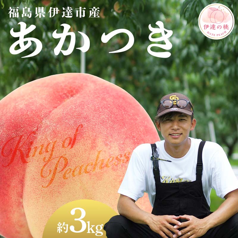 【2026年出荷分先行予約】福島県産 あかつき 約3kg (8～12玉) KING OF PEACHESS キングオブピーチ 伊達の桃 桃 フルーツ 果物 もも モモ momo F21C-132 約3k