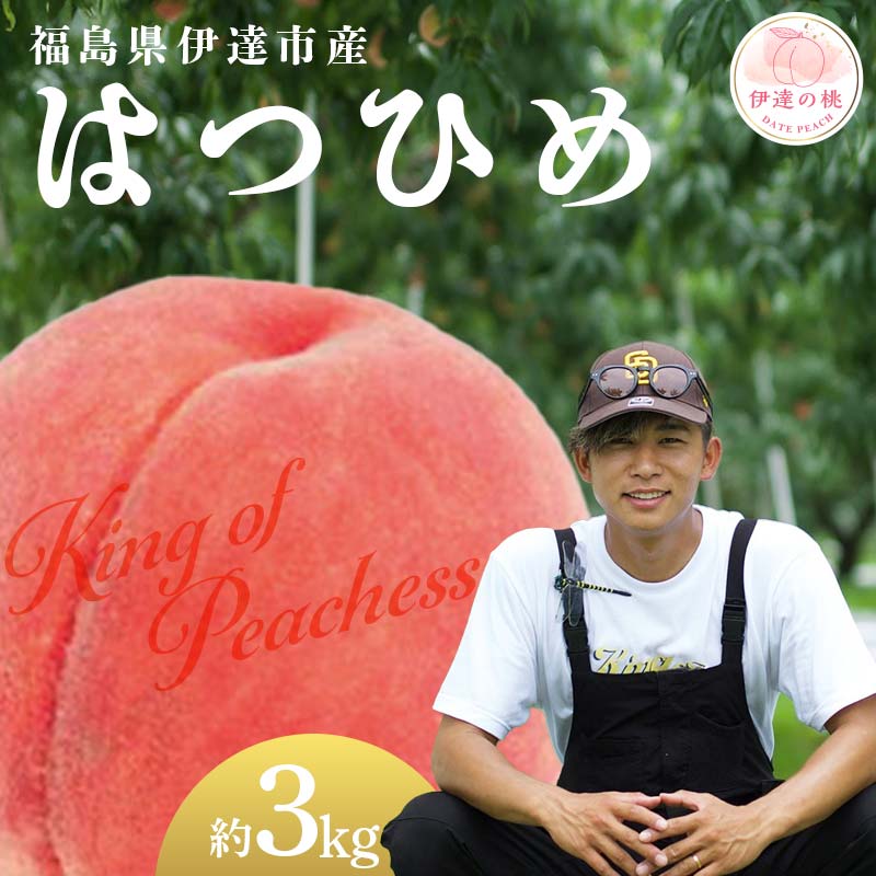 【2026年出荷分先行予約】福島県産 はつひめ 約3kg (8～12玉) KING OF PEACHESS キングオブピーチ 伊達の桃 桃 フルーツ 果物 もも モモ momo F21C-134 約3kg