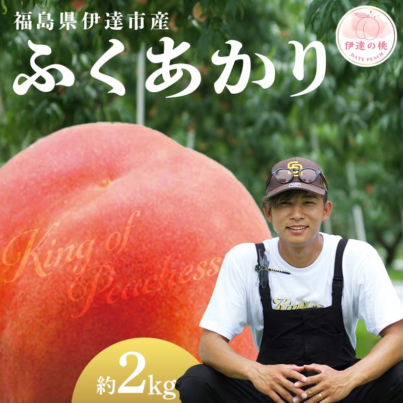 【2026年出荷分先行予約】福島県産 ふくあかり 約2kg (6～8玉) KING OF PEACHESS キングオブピーチ 伊達の桃 桃 フルーツ 果物 もも モモ momo F21C-135 約2kg