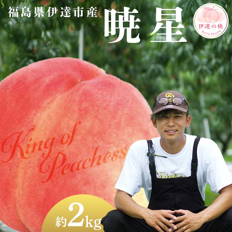 【2026年出荷分先行予約】福島県産 暁星 約2kg (6～8玉) KING OF PEACHESS キングオブピーチ ぎょうせい 伊達の桃 桃 フルーツ 果物 もも モモ momo F21C-139 約2kg