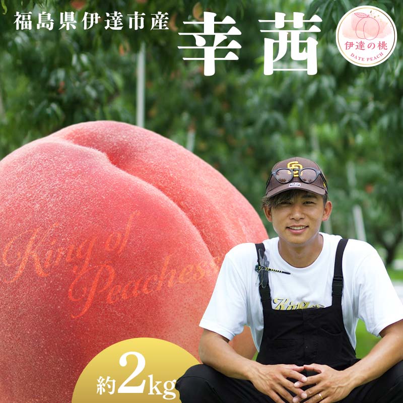 【2026年出荷分先行予約】福島県産 幸茜 約2kg (6～8玉) KING OF PEACHESS キングオブピーチ さちあかね 伊達の桃 桃 フルーツ 果物 もも モモ momo F21C-141 約2kg