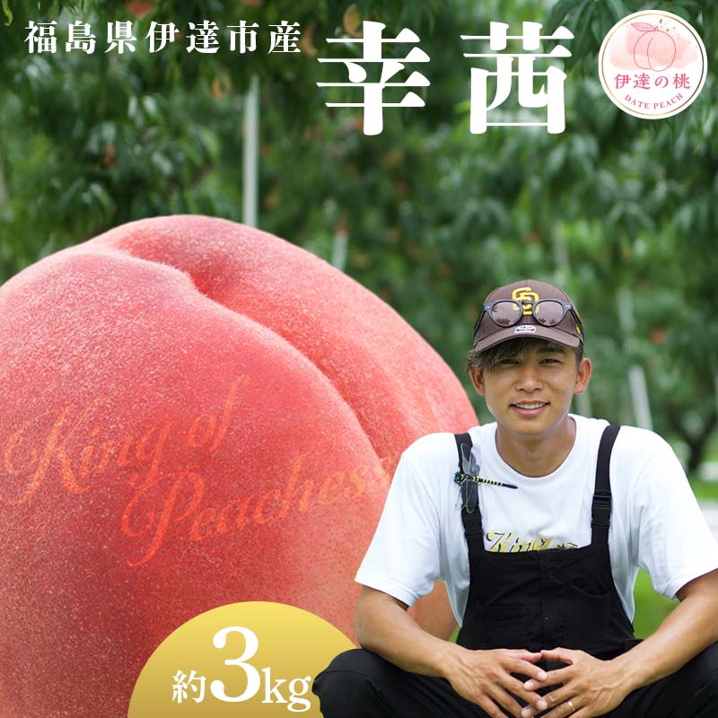 【2026年出荷分先行予約】福島県産 幸茜 約3kg (8～12玉) KING OF PEACHESS キングオブピーチ さちあかね 伊達の桃 桃 フルーツ 果物 もも モモ momo F21C-142 約3kg