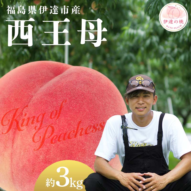 【2026年出荷分先行予約】福島県産 西王母 約3kg (8～12玉) KING OF PEACHESS キングオブピーチ 伊達の桃 桃 フルーツ 果物 もも モモ momo F21C-144 約3kg