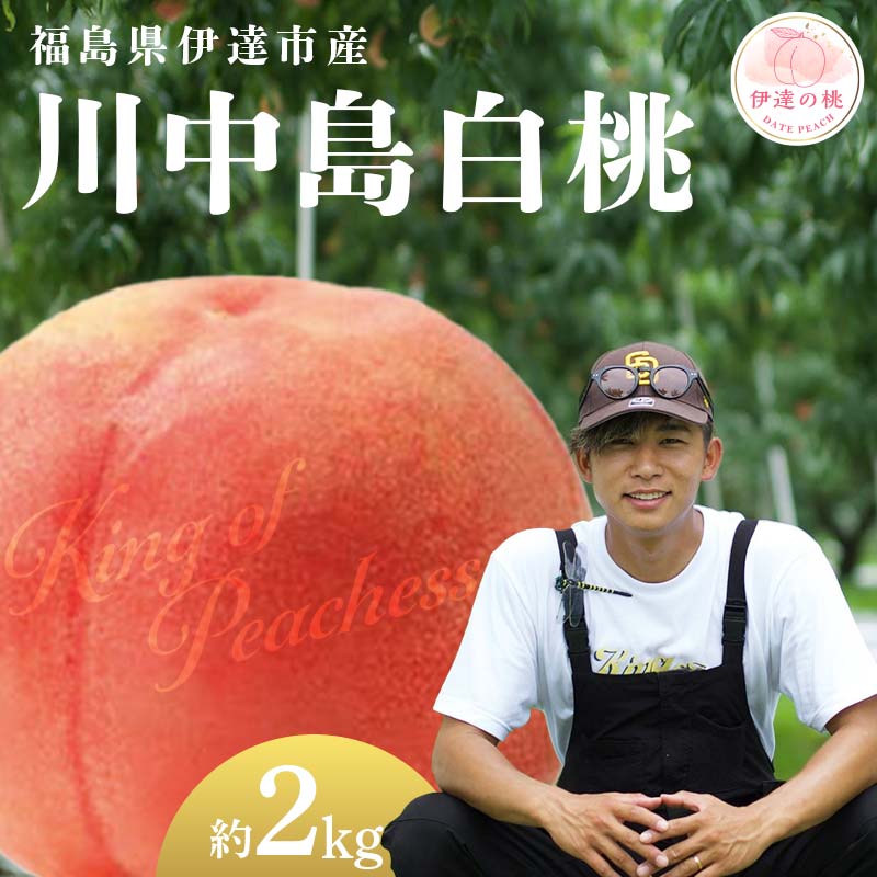 【2026年出荷分先行予約】福島県産 川中島白桃 約2kg (6～8玉) KING OF PEACHESS キングオブピーチ 伊達の桃 桃 フルーツ 果物 もも モモ momo F21C-145 約2kg