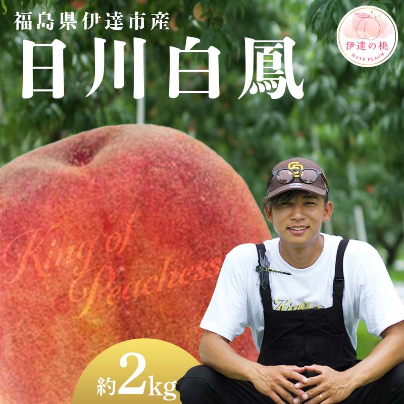 【2026年出荷分先行予約】福島県産 日川白鳳 約2kg (6～8玉) KING OF PEACHESS キングオブピーチ 伊達の桃 桃 フルーツ 果物 もも モモ momo F21C-147 約2kg