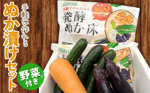 野菜付き！手軽に作れるぬか漬けセット ぬか漬け 漬物 漬け物 野菜 手作り F21C-179